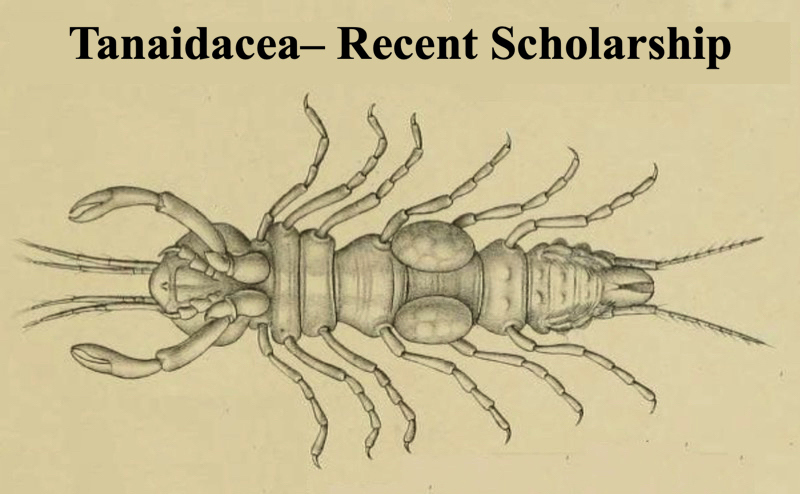 Tanaidacea - Recent Scholarship