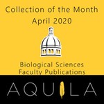 Collection of the Month June 2020