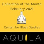 Collection of the Month January 2021